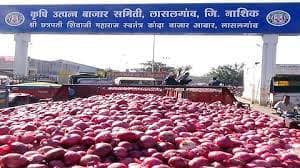 Lasalgaon Onion Market product image Lasalgaon Onion Market