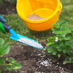 AAYUSH KRISHI SEVA KENDRA